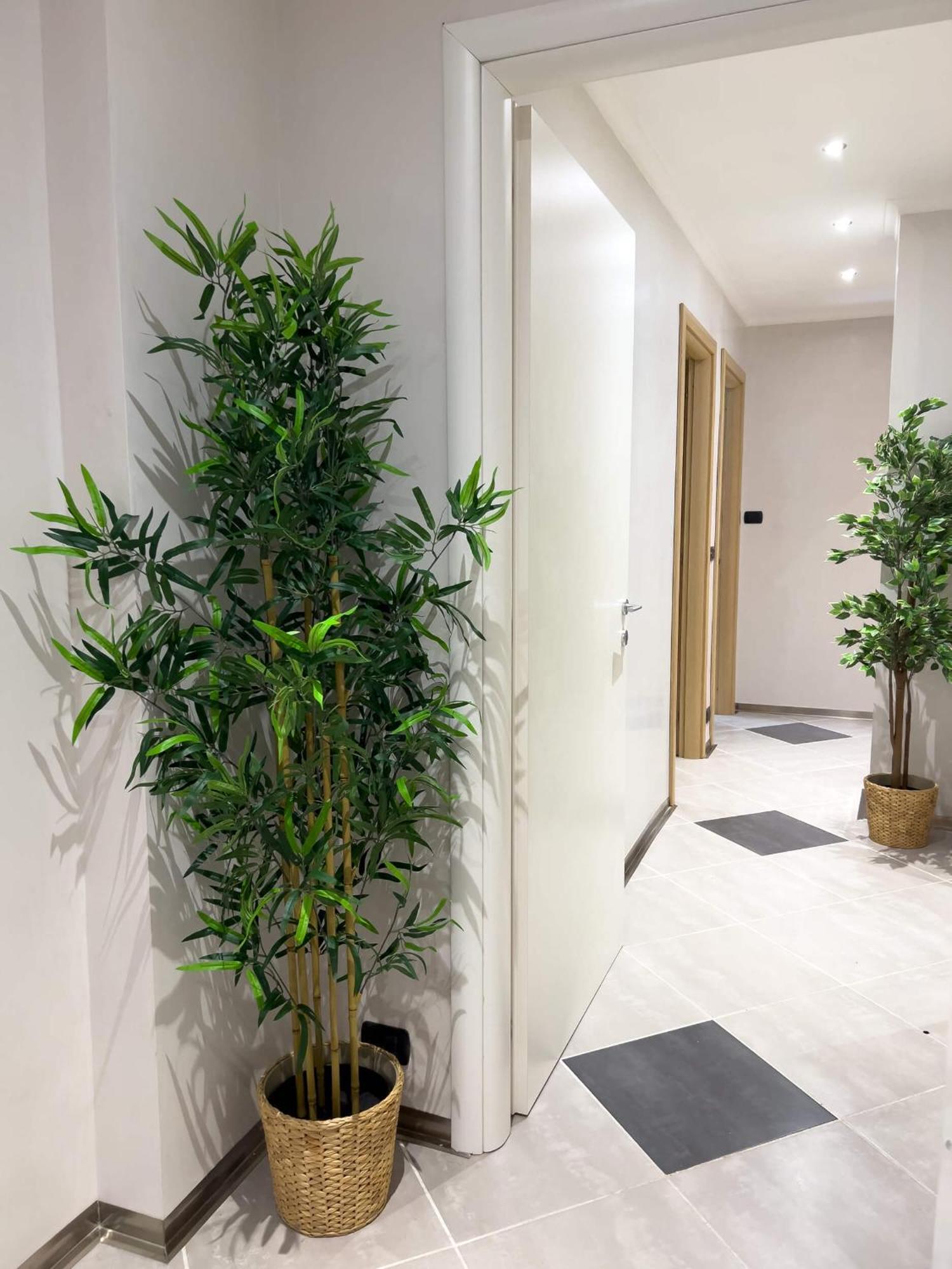Sofia Guest House روما المظهر الخارجي الصورة